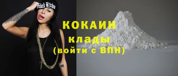 сатива Лагань