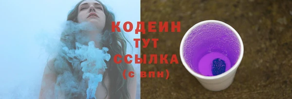 бошки Лабытнанги