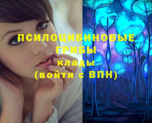 бошки Лабытнанги